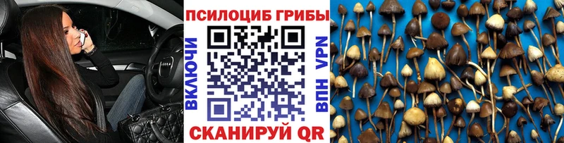 где купить наркоту  Абаза  Псилоцибиновые грибы ЛСД 
